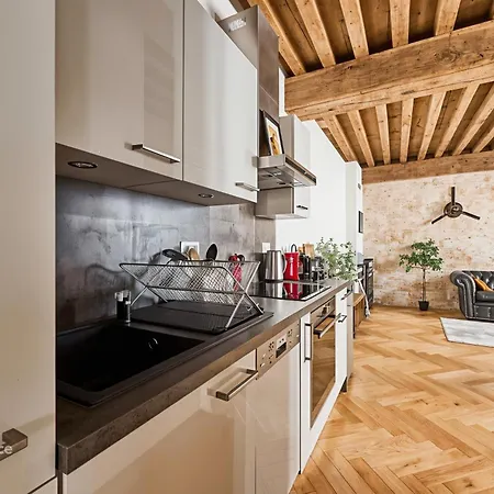 Le Rousseau - & En Hypercentre דירה דיז'ון