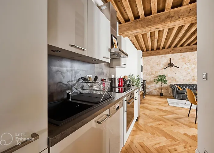 Le Rousseau - & En Hypercentre Apartman Dijon